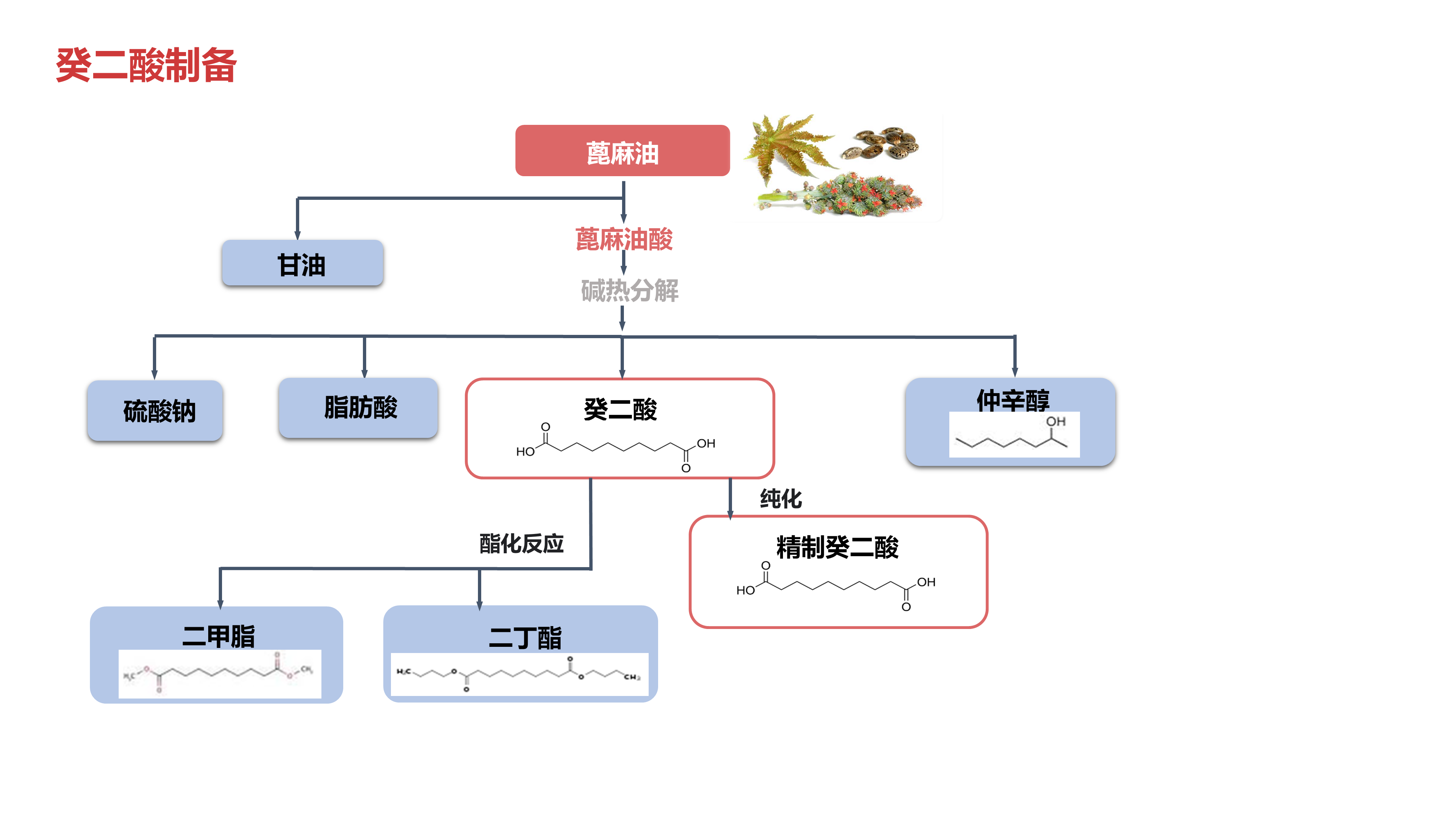 癸二酸制备.png